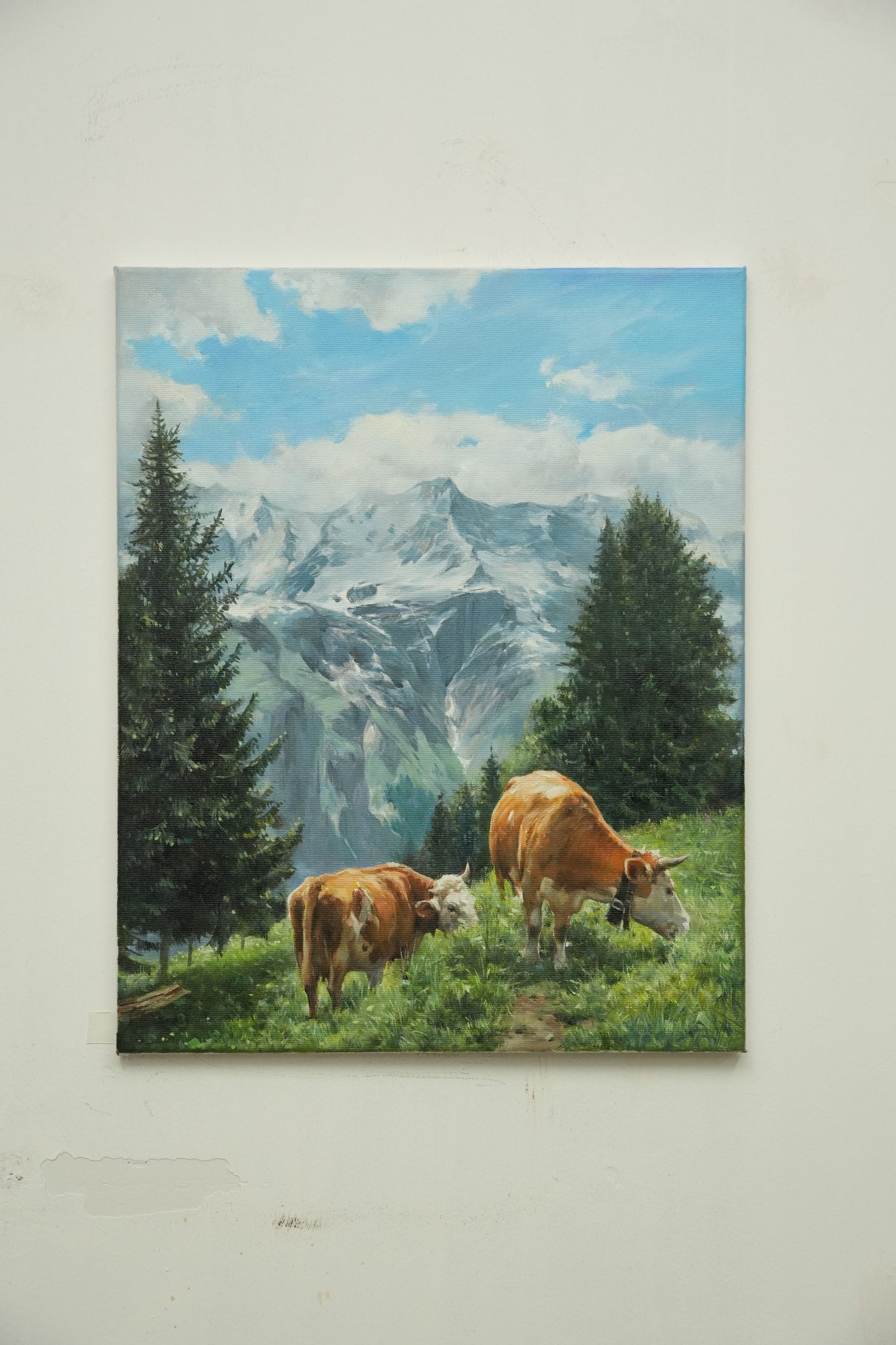 Grazing in the Highlands: Cattle Beneath Snowy Peaks
