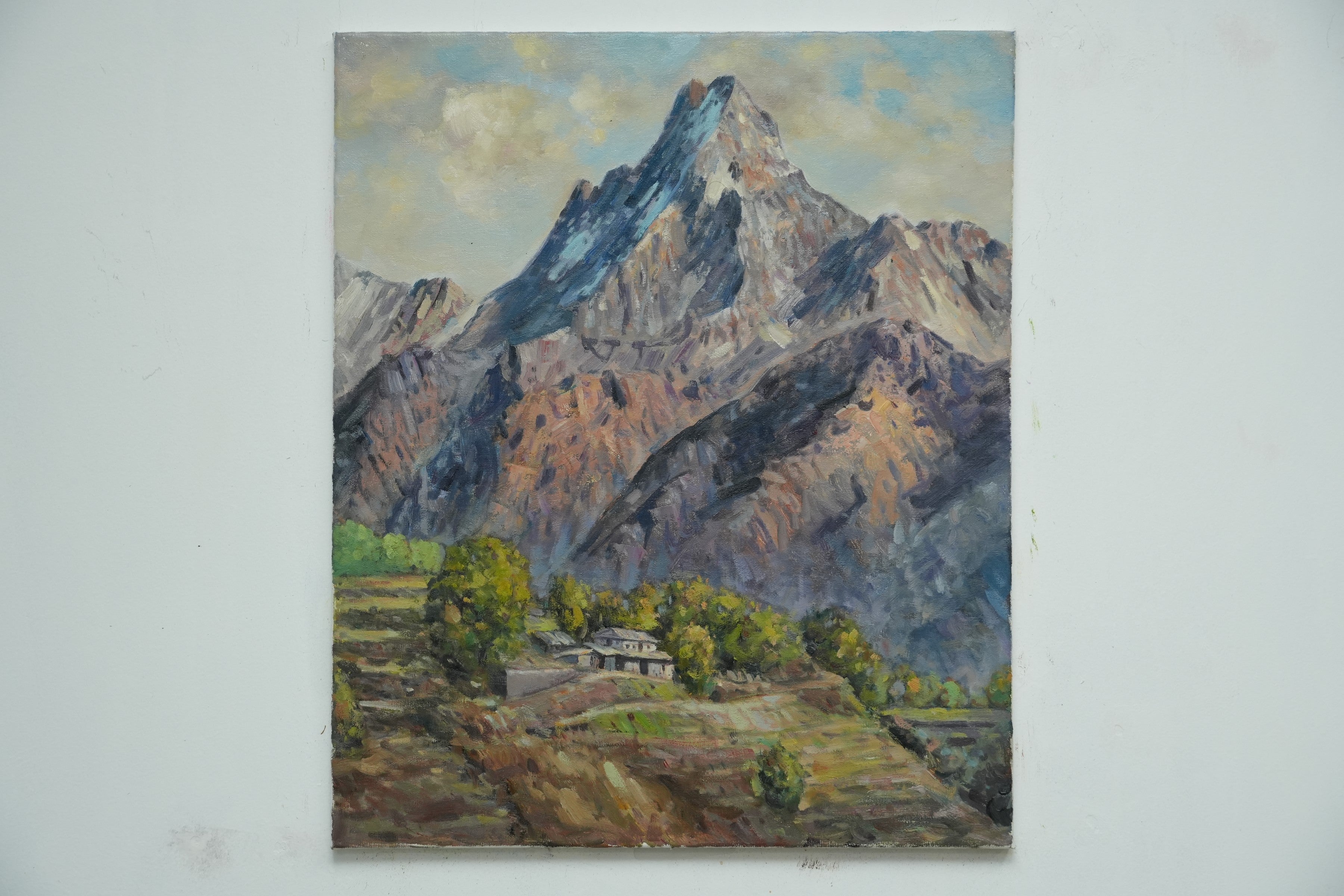 Mountain Serenity: Terraced Fields Beneath the Snow Peaks