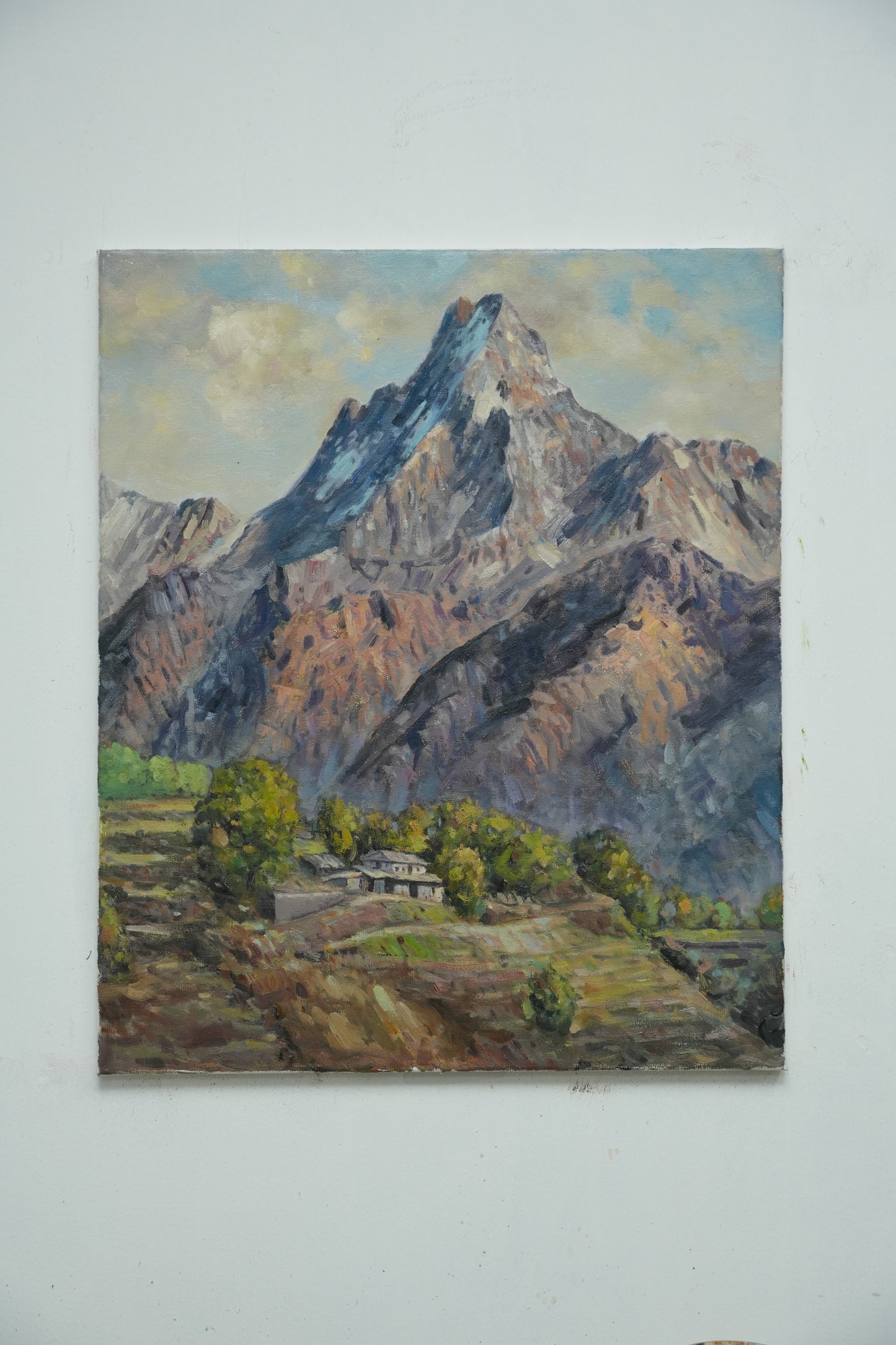 Mountain Serenity: Terraced Fields Beneath the Snow Peaks