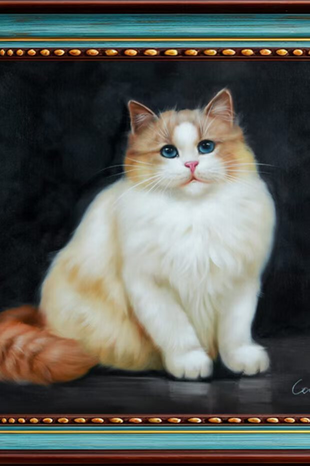 Custom Pet Products