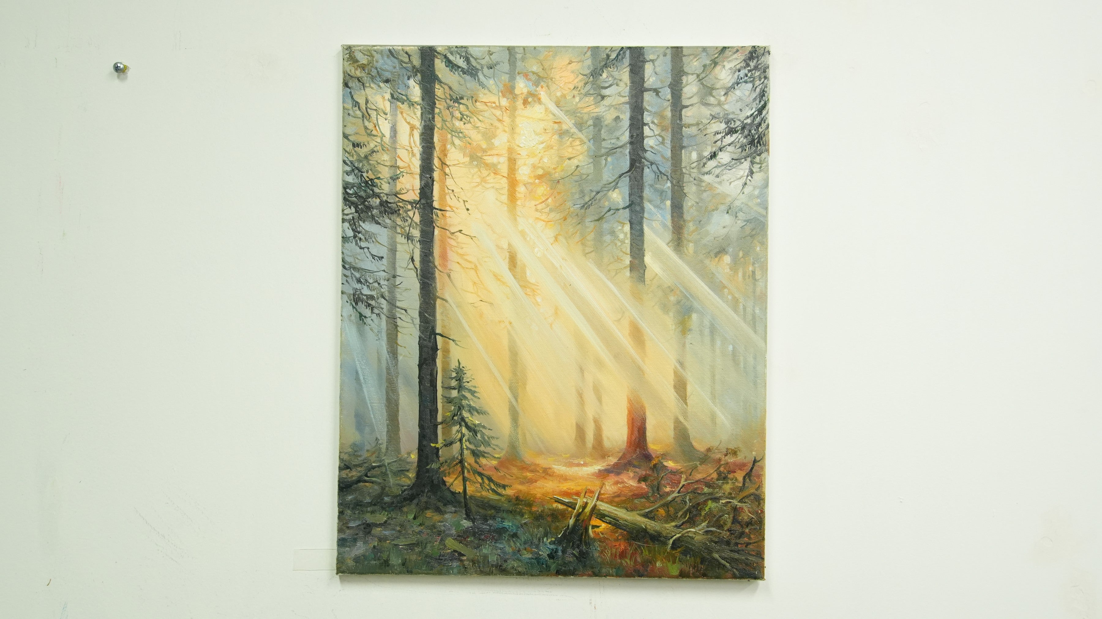 Nature & Wildlife Art
