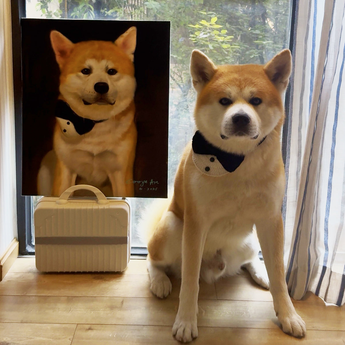Pet Custom Oil Painting-Enjoy 10% discount