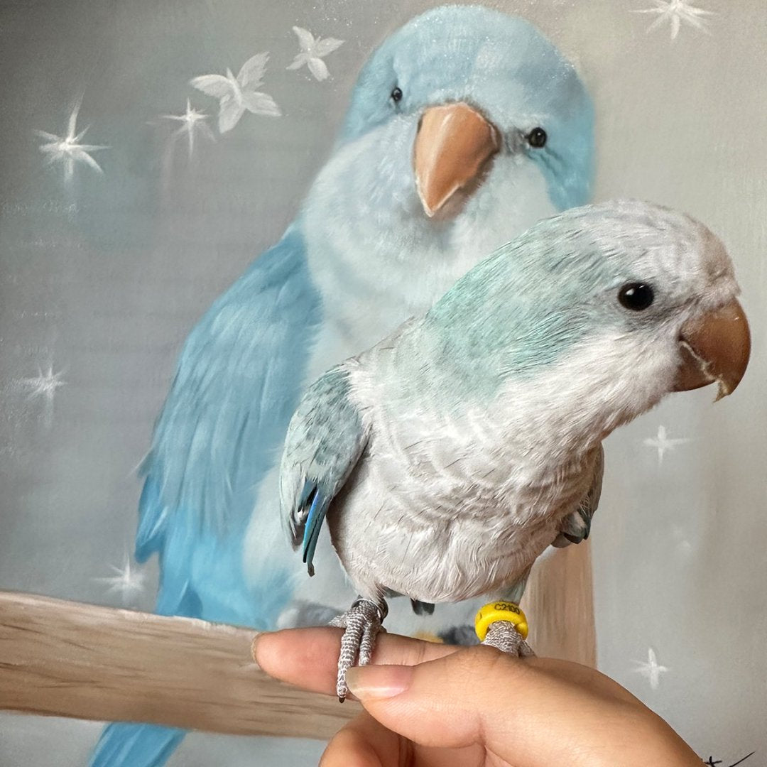 Pet Custom Oil Painting-Enjoy 10% discount
