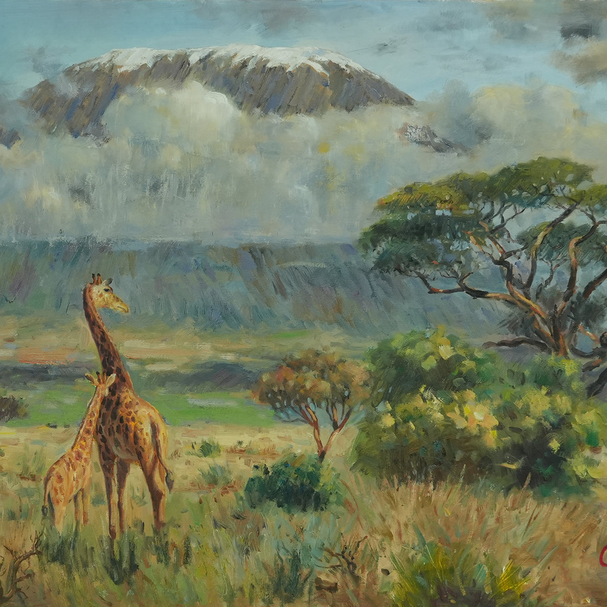 Landscape customization