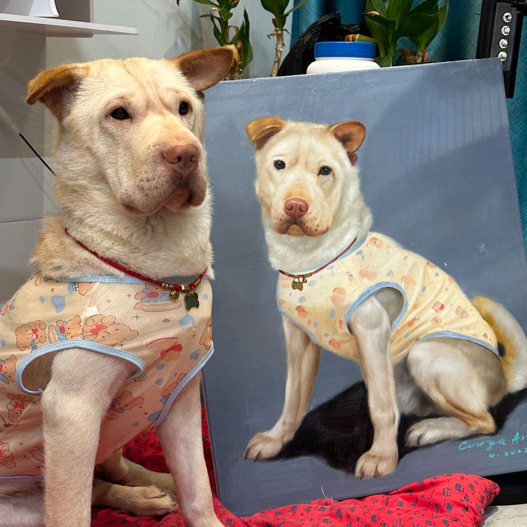 Pet Custom Oil Painting-Enjoy 10% discount