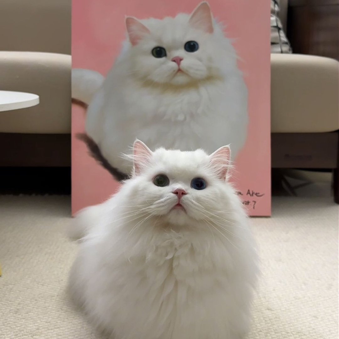 Pet Custom Oil Painting-Enjoy 10% discount