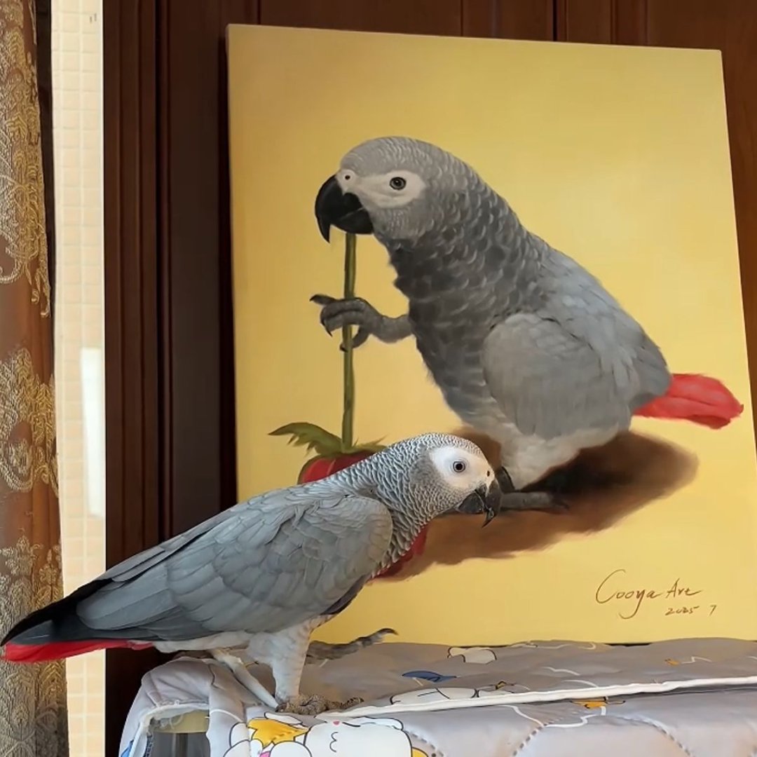 Pet Custom Oil Painting-Enjoy 10% discount