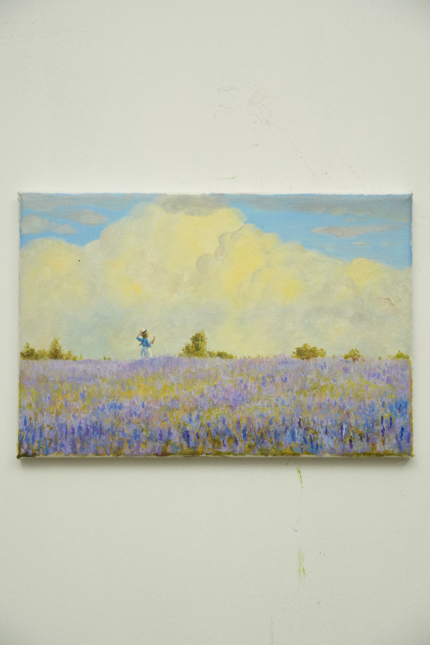 Lavender Dreams Beneath the Sky