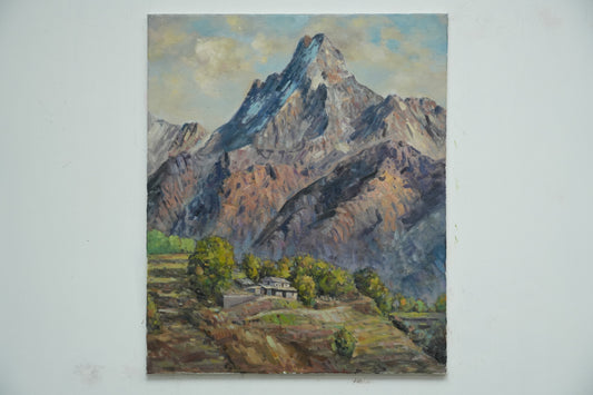 Mountain Serenity: Terraced Fields Beneath the Snow Peaks