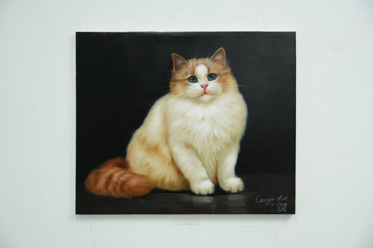Grace in Fur – Ragdoll Cat Portrait