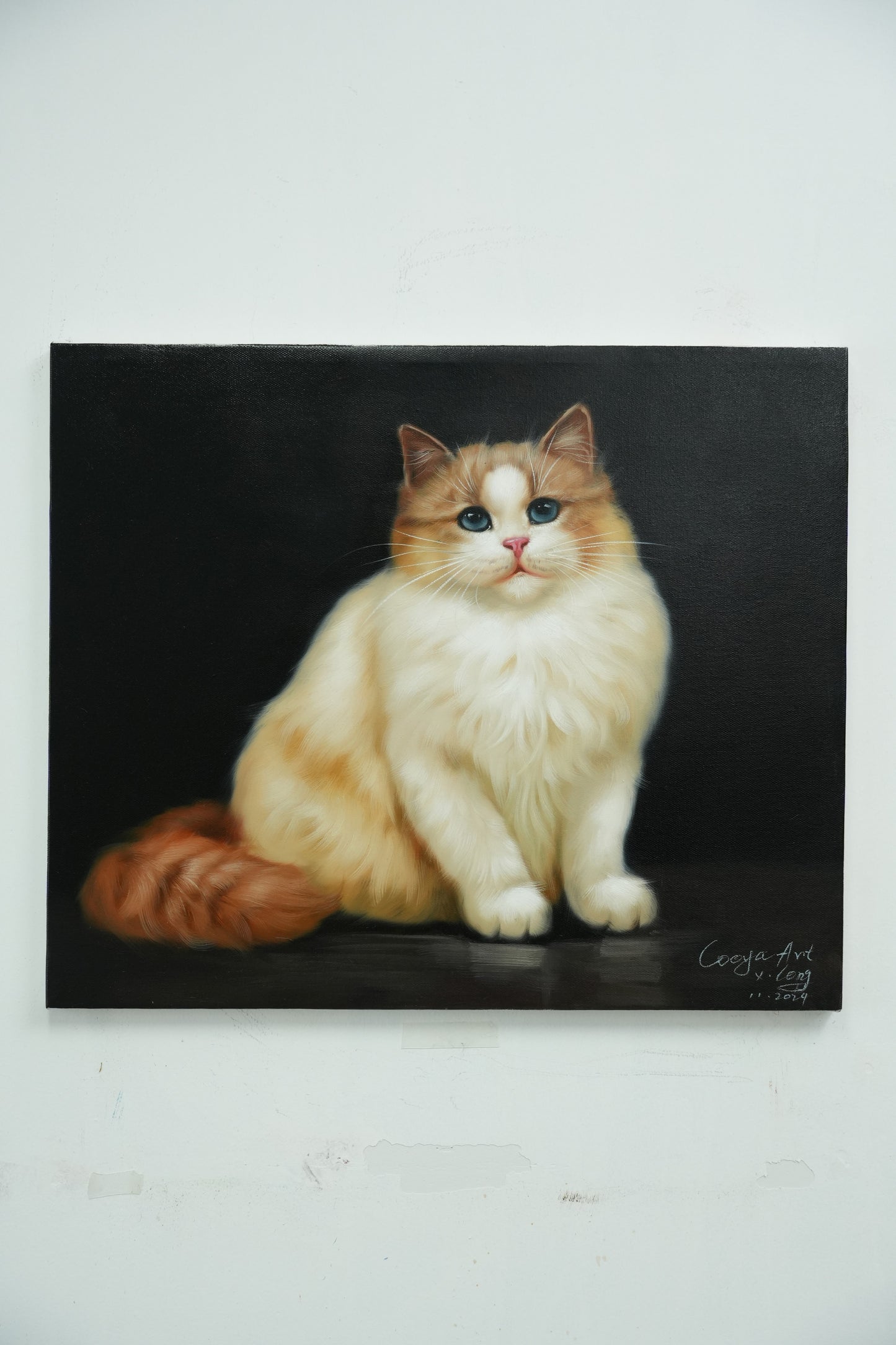 Grace in Fur – Ragdoll Cat Portrait