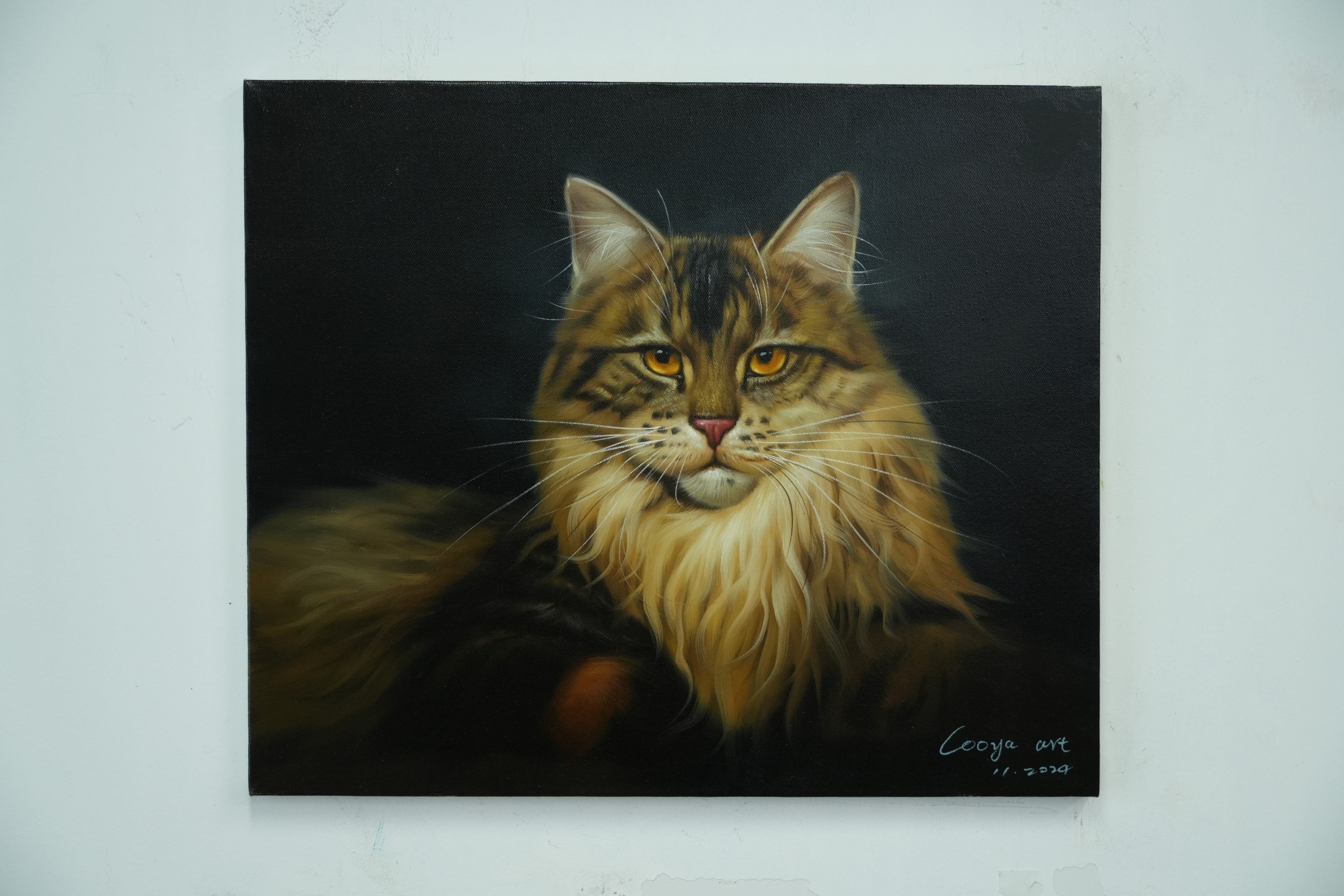 Majestic Gaze – Maine Coon Portrait