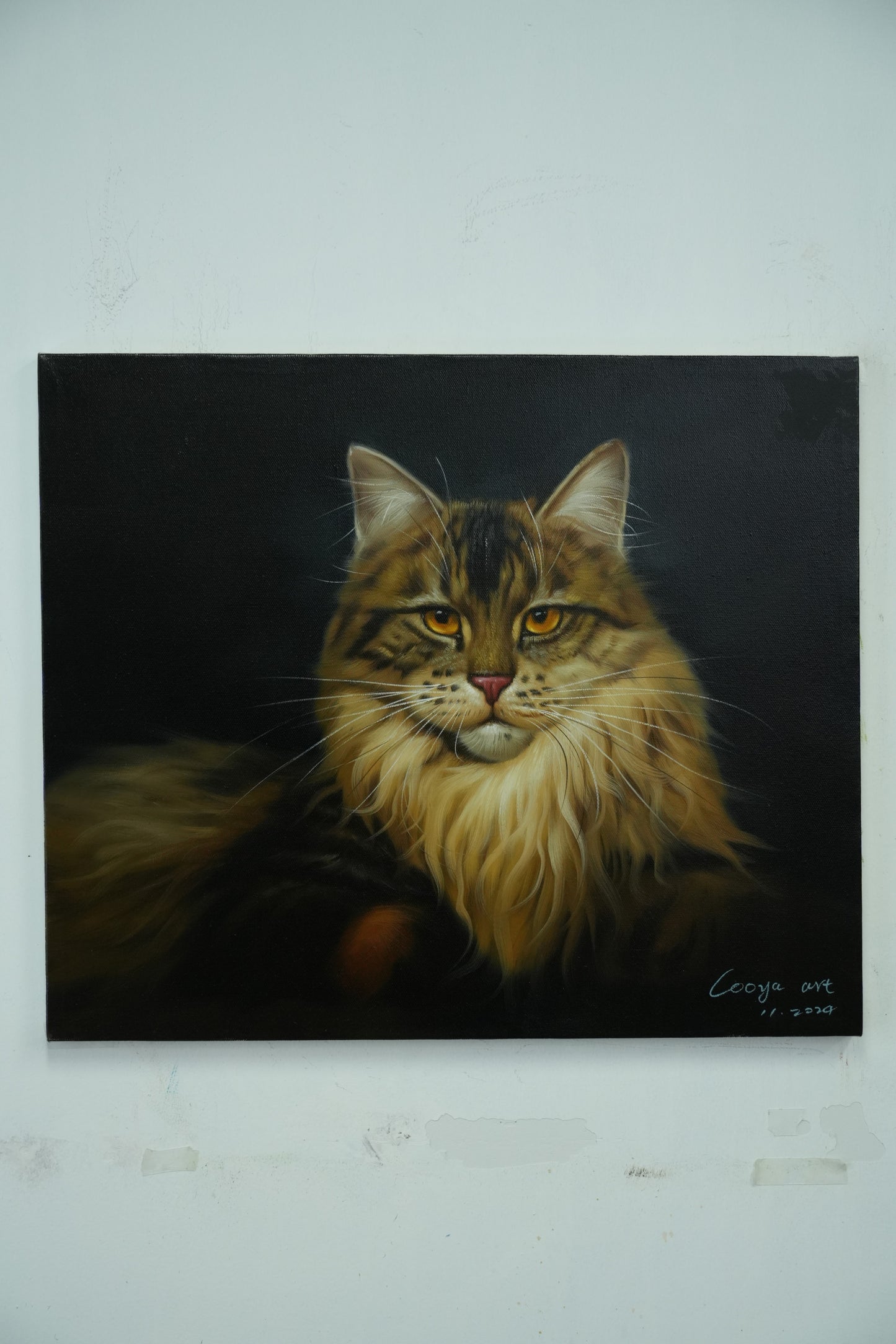 Majestic Gaze – Maine Coon Portrait