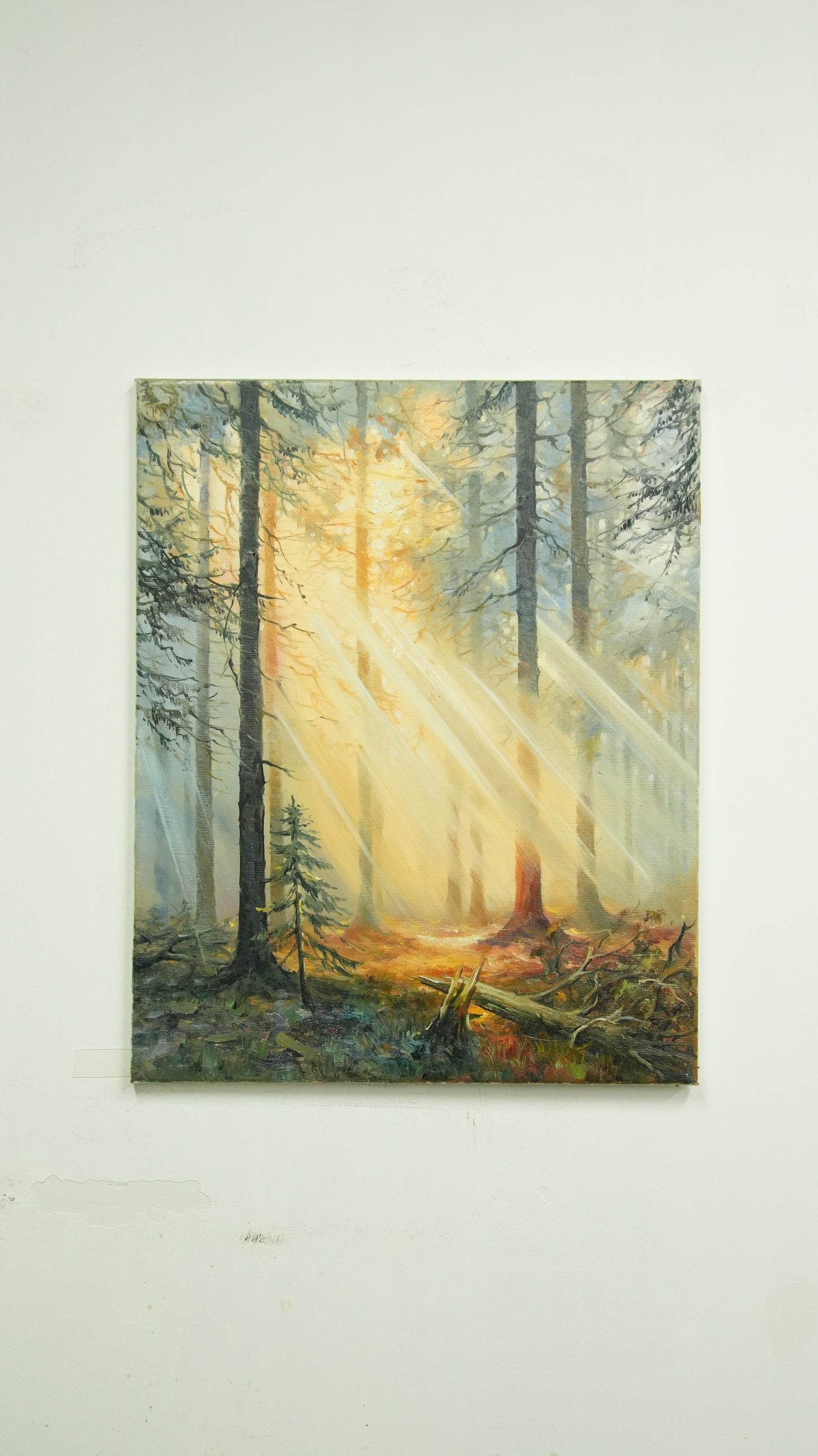 Whispers of the Misty Forest